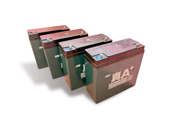 Комплект тяговых аккумуляторов 6-DZF-20 (48V20.5A•h C2)